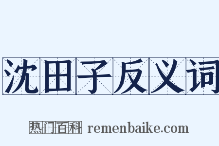 沈田子反义词是什么意思的图片